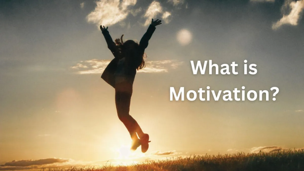 What is Motivaria?